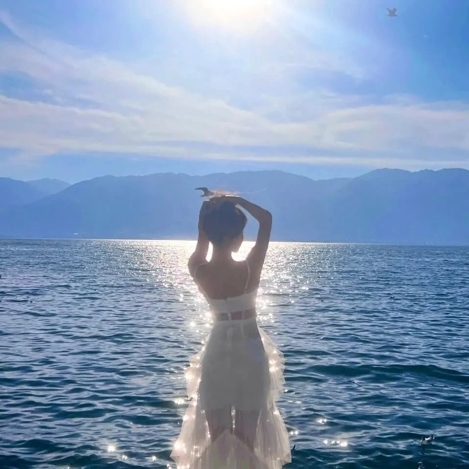 与你舞动的夏天