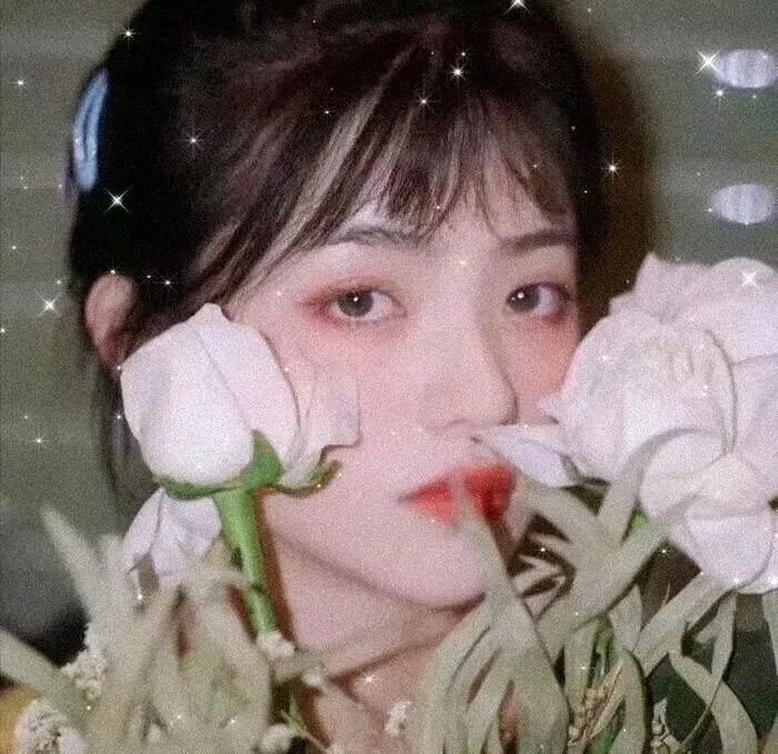 堕落妹